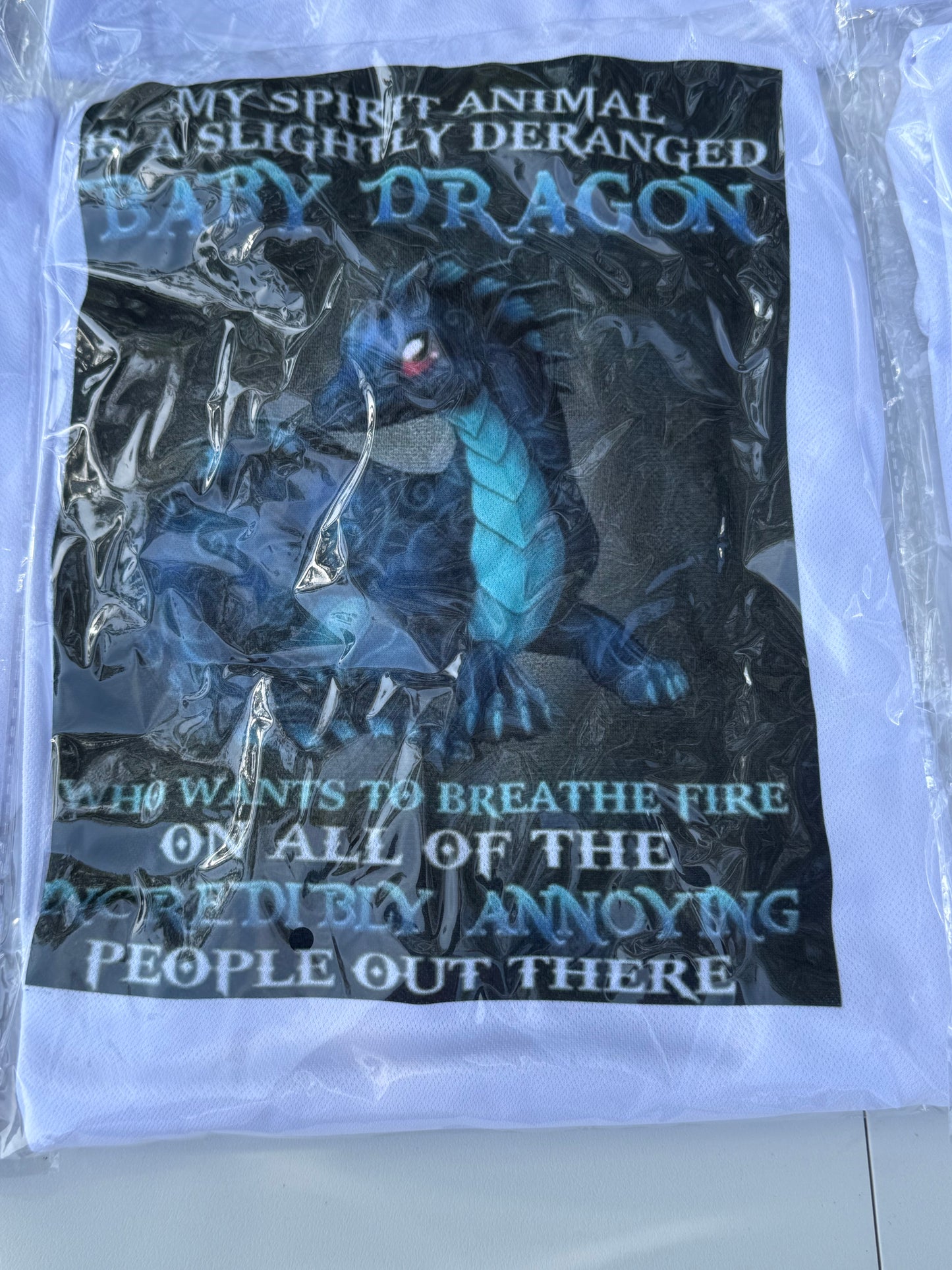 Dragon Spirit Animal